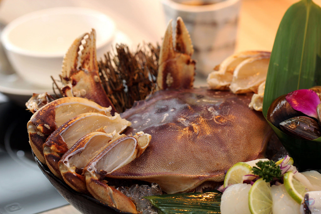 IMG_5928r4_结果 IMG_5928r4_结果