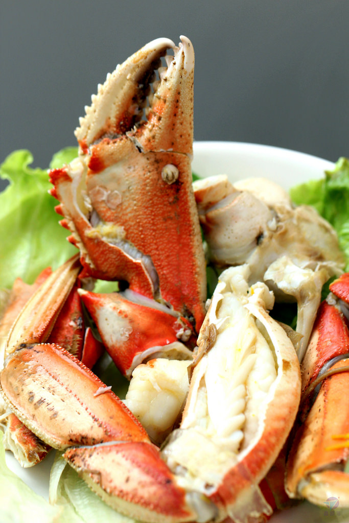 IMG_5983r4_结果 IMG_5983r4_结果