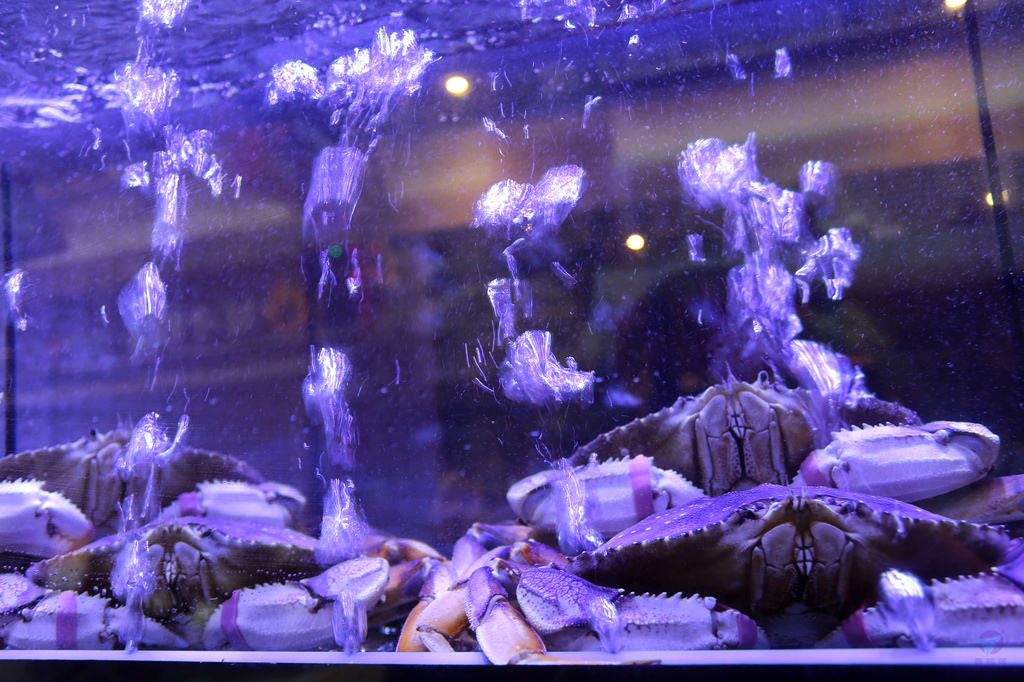 IMG_5173r4_结果 IMG_5173r4_结果