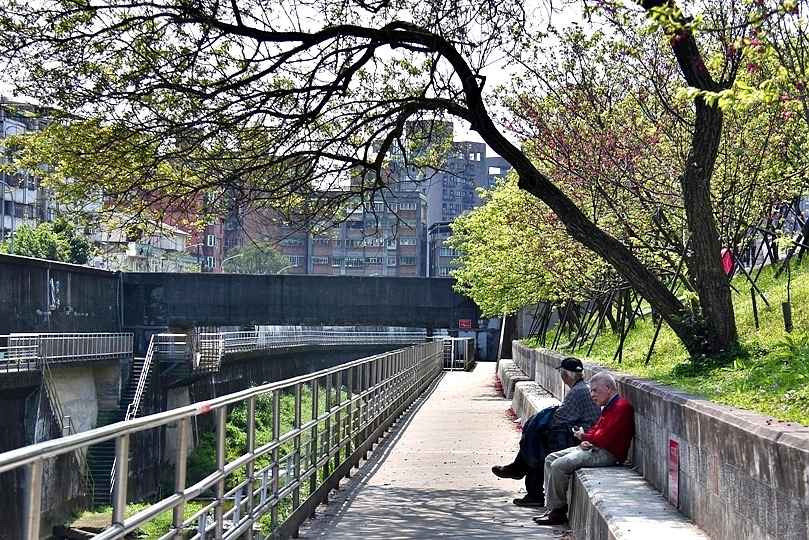 最後一波春日粉色浪漫：東湖‧內溝溪櫻花林