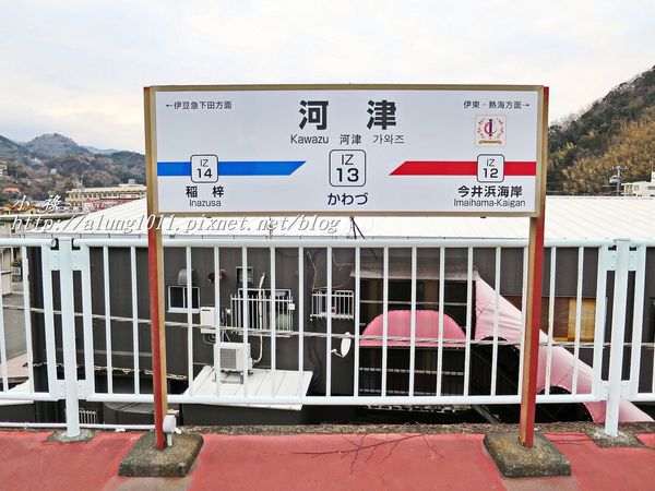 河津櫻祭 (95).JPG