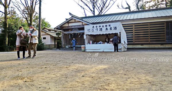 河津櫻祭 (82).JPG