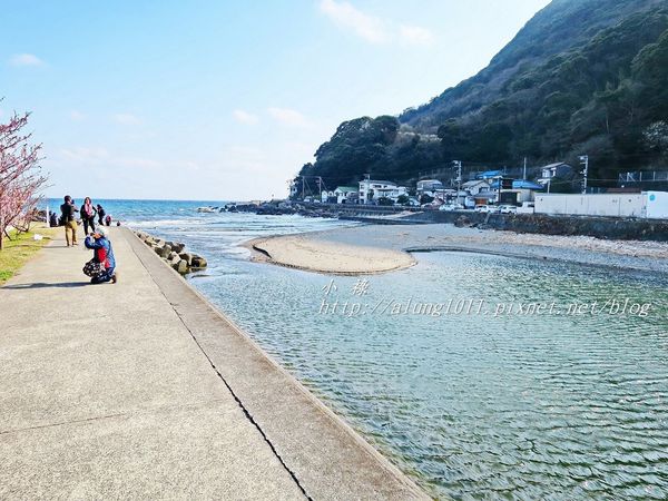 河津櫻祭 (49).JPG