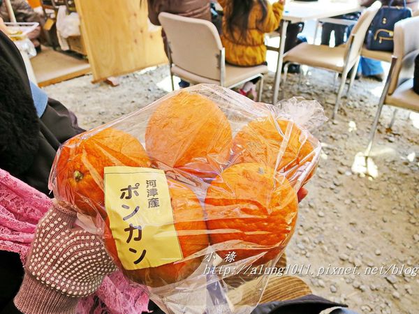 河津櫻祭 (31).JPG