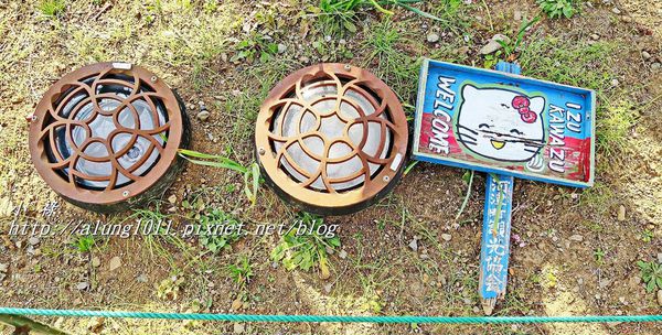 河津櫻祭 (44).JPG