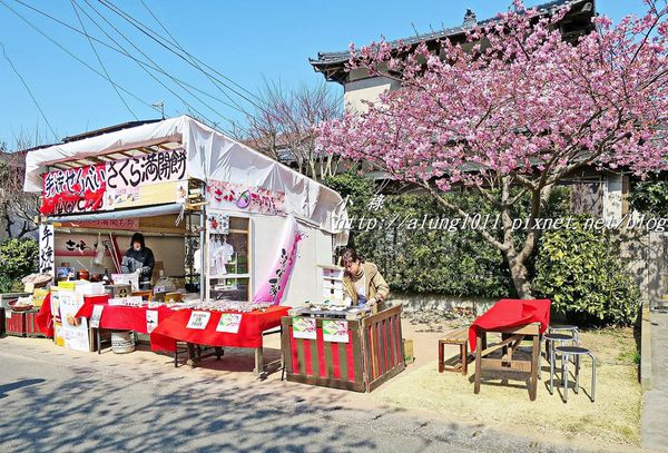 河津櫻祭 (33).JPG