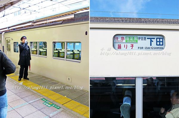 河津櫻祭 (5).jpg