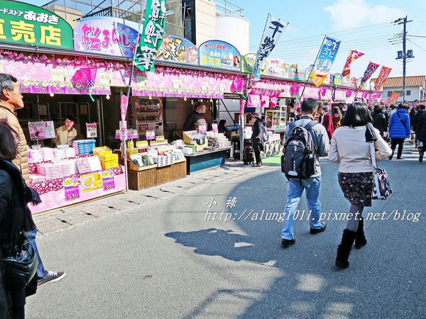 河津櫻祭 (18).JPG