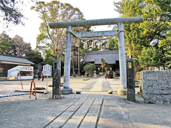 河津櫻祭 (71).JPG