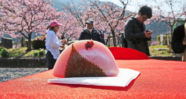 河津櫻祭 (38).jpg