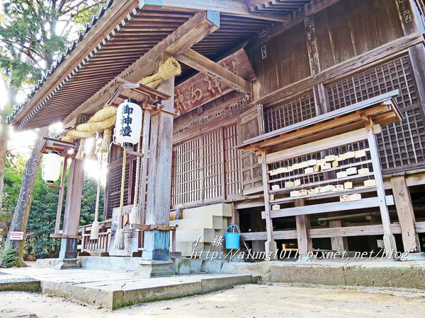 河津櫻祭 (76).JPG