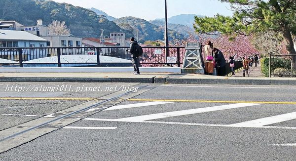 河津櫻祭 (48).JPG