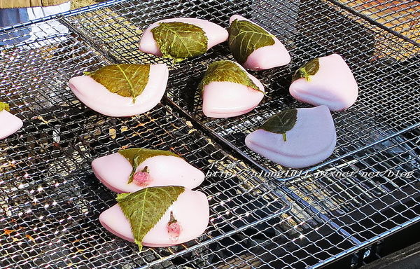 河津櫻祭 (36).jpg