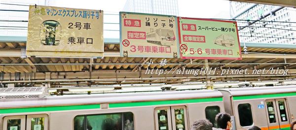 河津櫻祭 (4).JPG