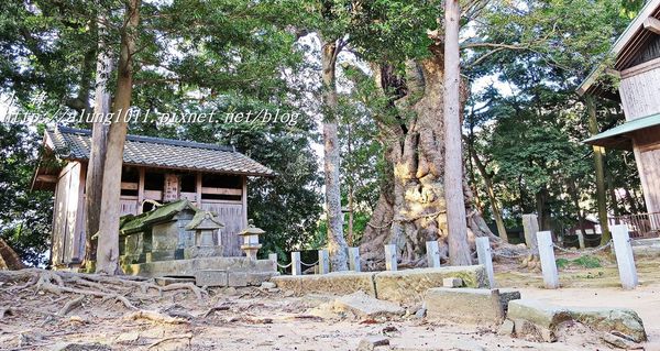 河津櫻祭 (81).JPG