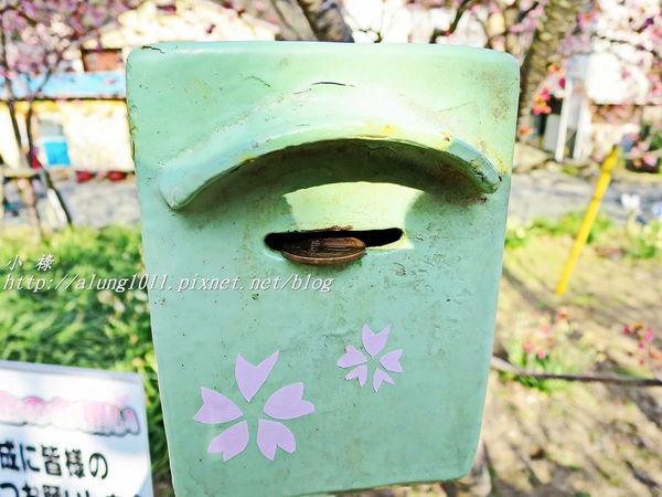 河津櫻祭 (55).JPG