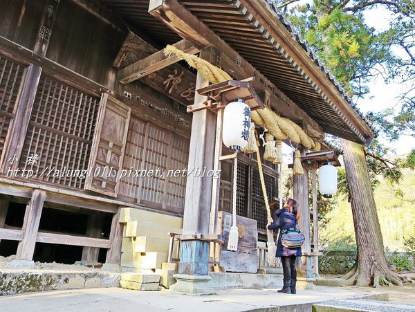 河津櫻祭 (93).JPG