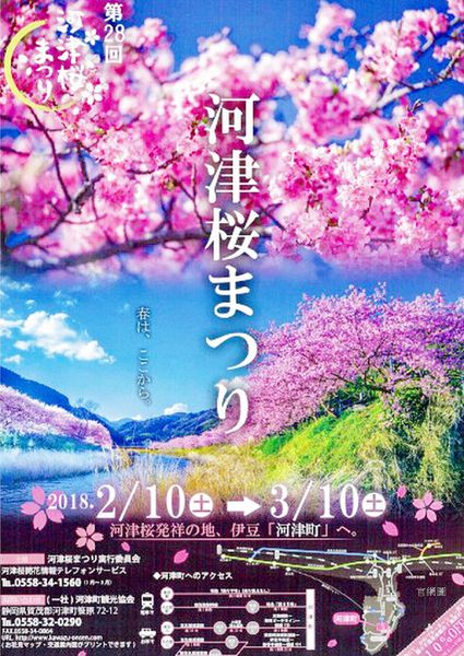 河津櫻祭 (89).jpg