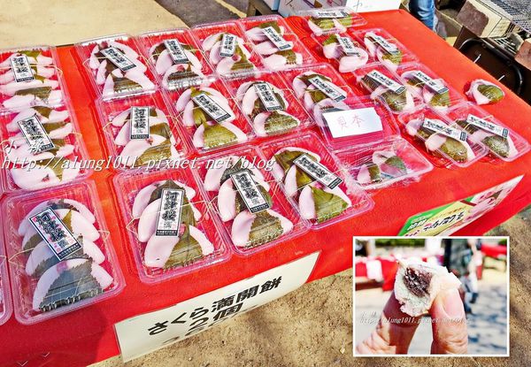 河津櫻祭 (34).jpg