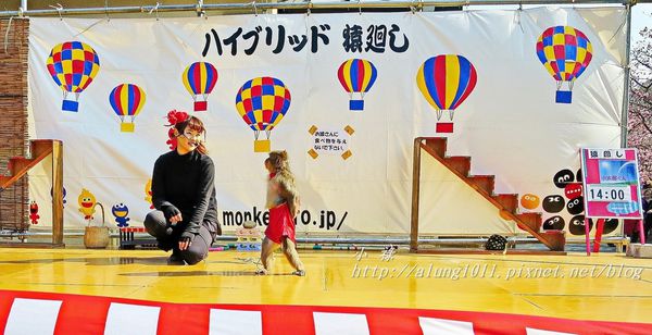 河津櫻祭 (40).JPG