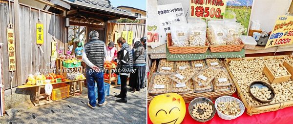 河津櫻祭 (100).jpg