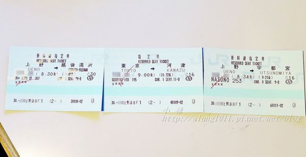 河津櫻祭 (3).JPG