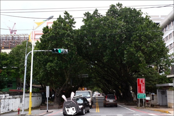 新味醬油食品廠：[旅遊分享]快來跟Ayumi來花蓮體驗新味醬油小旅行吧－花蓮在地人導覽花蓮的日常/花蓮美食免排隊品嚐(下篇)