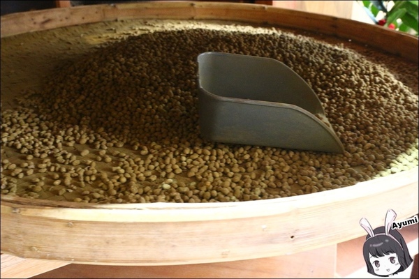 新味醬油食品廠：[旅遊分享]快來跟Ayumi來花蓮體驗新味醬油小旅行吧－新味醬油工廠＋豆腐乳DIY(上篇)