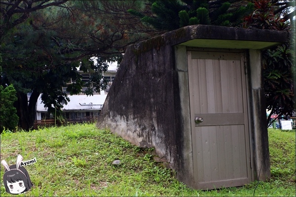 新味醬油食品廠：[旅遊分享]快來跟Ayumi來花蓮體驗新味醬油小旅行吧－花蓮在地人導覽花蓮的日常/花蓮美食免排隊品嚐(下篇)
