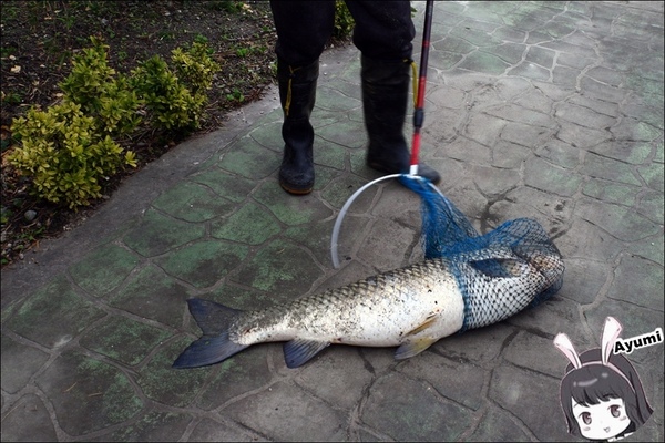 新味醬油食品廠：[旅遊分享]快來跟Ayumi來花蓮體驗新味醬油小旅行吧－花蓮在地人導覽花蓮的日常/花蓮美食免排隊品嚐(下篇)