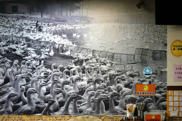 新北市新店區連奧運金牌選手都愛的必吃碧潭小吃-新店站北鴨鴨肉羹，裕隆城附近高CP值平價美食