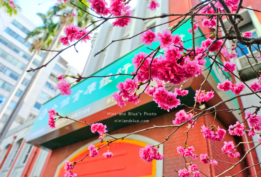 合作金庫櫻花.台中火車站06
