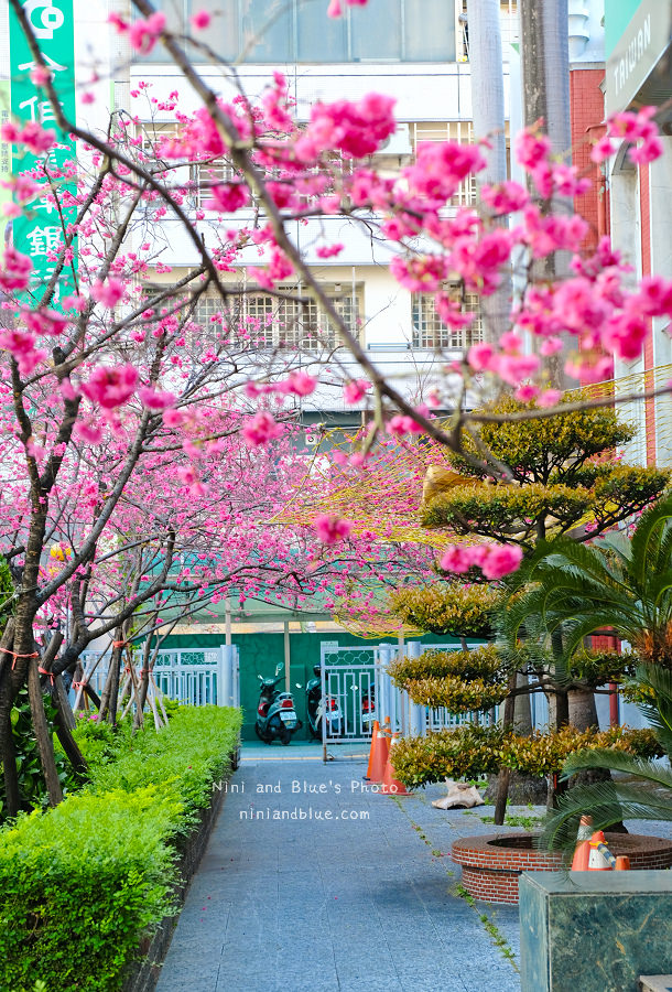 合作金庫櫻花.台中火車站07
