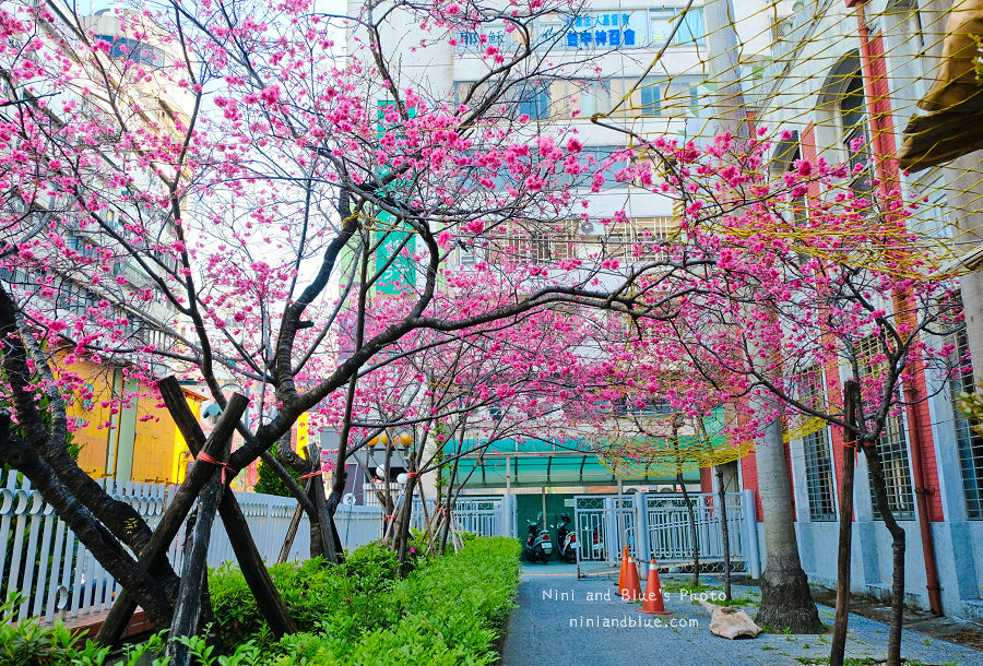 合作金庫櫻花.台中火車站08