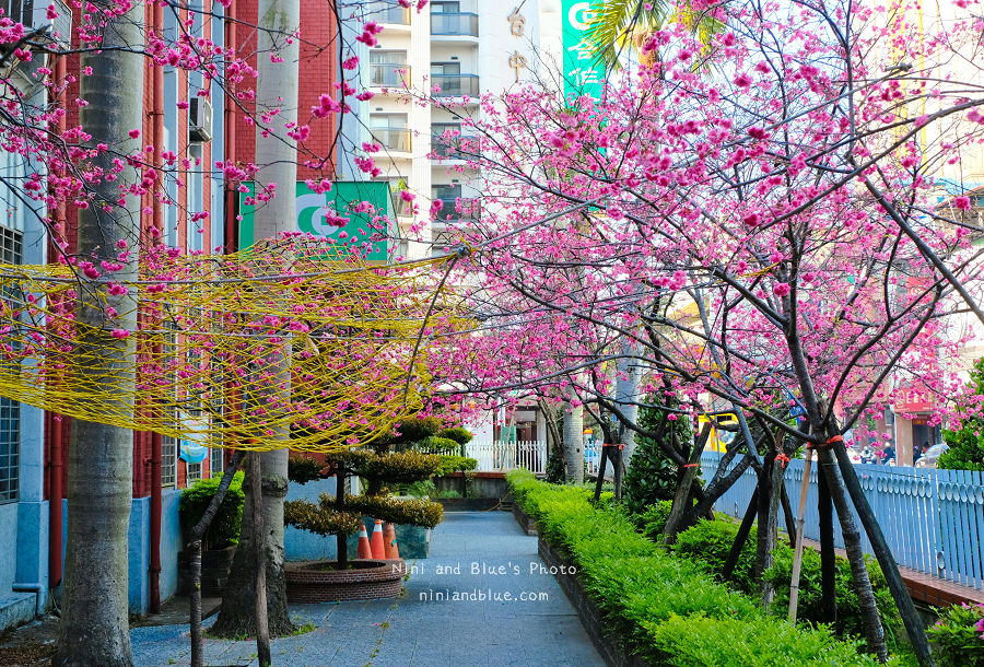 合作金庫櫻花.台中火車站11