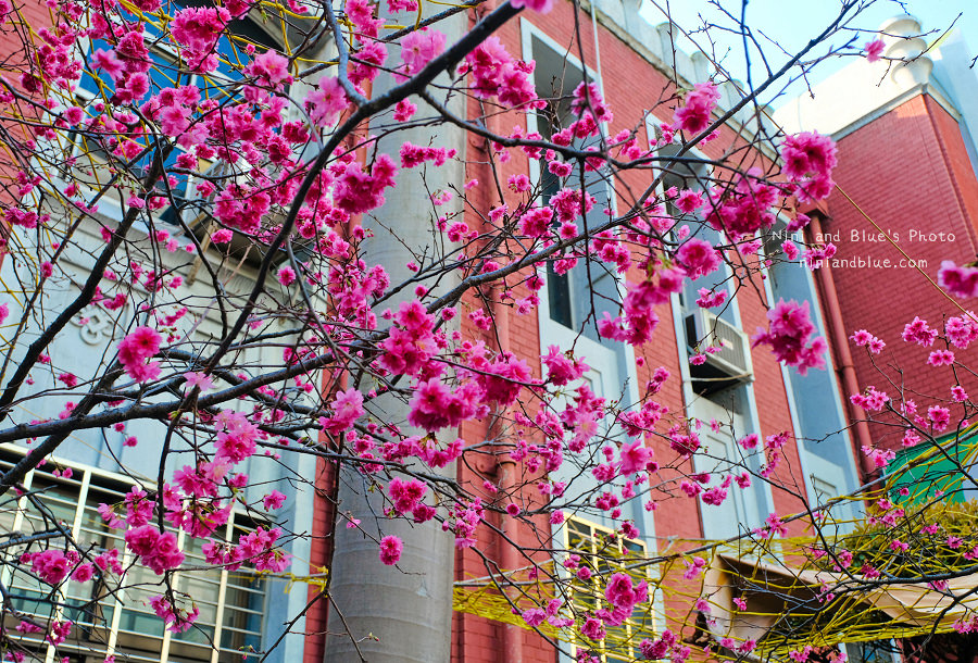 合作金庫櫻花.台中火車站03
