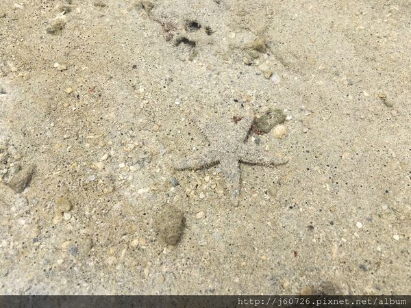 S__15728787.jpg S__15728787.jpg