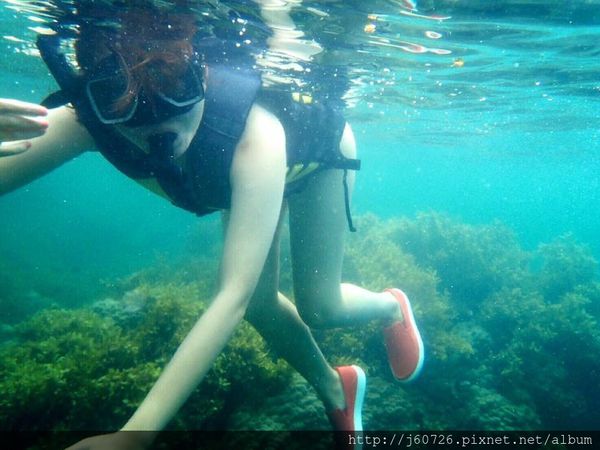 S__15589390.jpg S__15589390.jpg