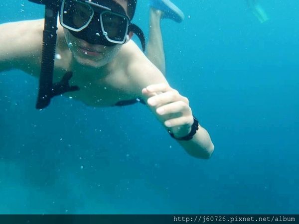 S__15589397.jpg S__15589397.jpg