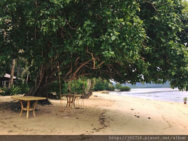 S__15728771.jpg S__15728771.jpg