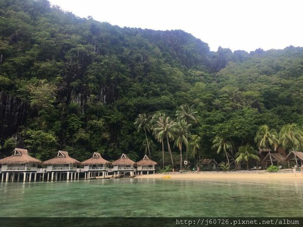 S__15589416.jpg S__15589416.jpg