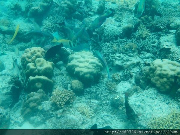 S__15589392.jpg S__15589392.jpg