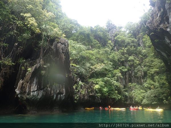 S__15589426.jpg S__15589426.jpg