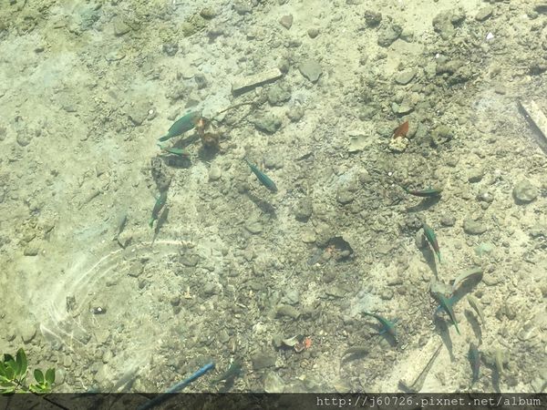 S__16187609.jpg S__16187609.jpg