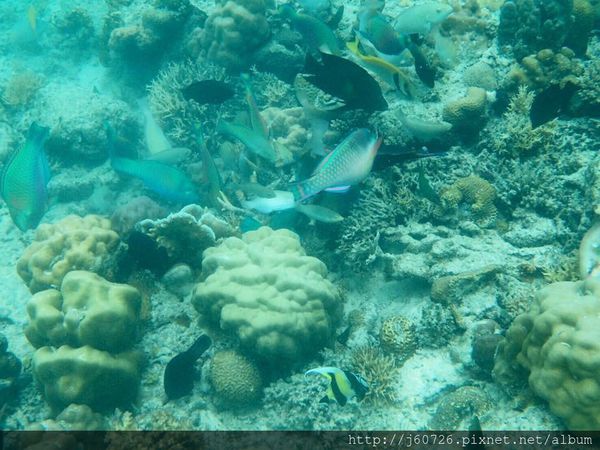 S__15589394.jpg S__15589394.jpg