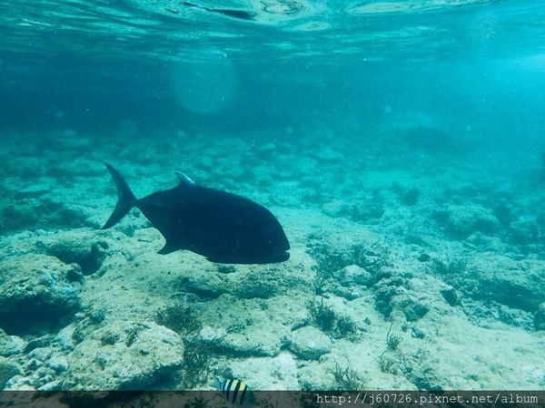 S__15589393.jpg S__15589393.jpg