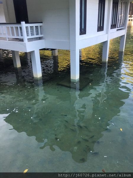 S__16187608.jpg S__16187608.jpg