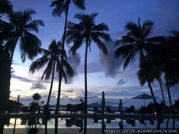 S__15728765.jpg S__15728765.jpg