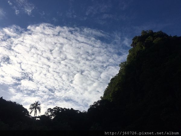 S__16187603.jpg S__16187603.jpg