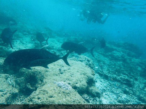 S__15589391.jpg S__15589391.jpg